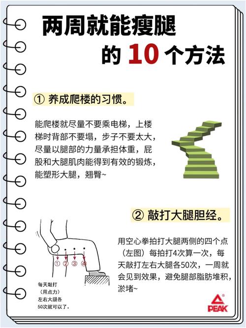 石榴美容仪器，开启你的瘦腿之旅_介绍高效瘦腿新方法 石榴美容仪器，开启你的瘦腿之旅_介绍高效瘦腿新方法 旅行地理