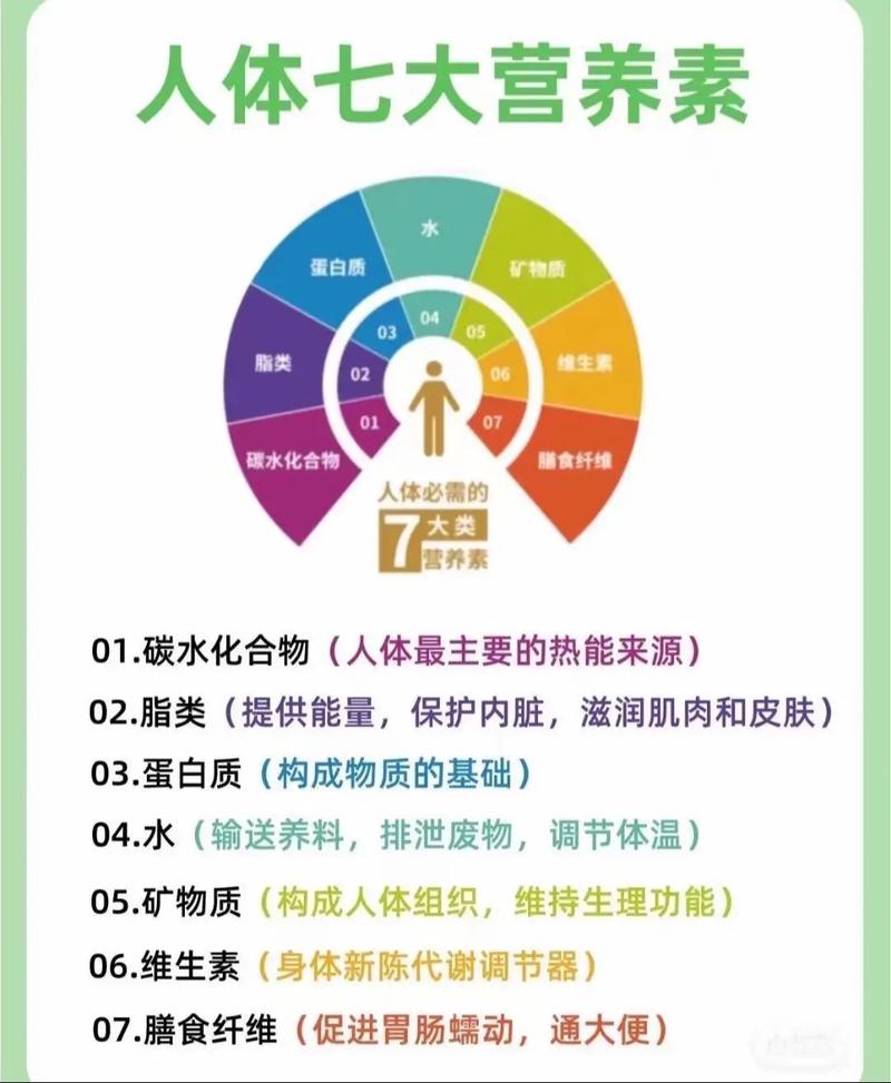 美容仪器助力减肥，营养早餐唤醒活力_打造健康生活新篇章 美容仪器助力减肥，营养早餐唤醒活力_打造健康生活新篇章 美容塑身