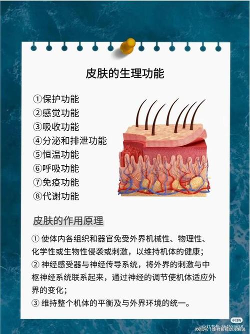 美容护肤知识大全,介绍仪器护肤的奥秘 美容护肤知识大全,介绍仪器护肤的奥秘 动手制作
