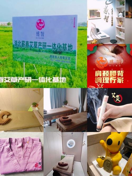艾灸家用仪器,美容养生的绿色新选择 艾灸家用仪器,美容养生的绿色新选择 旅行地理